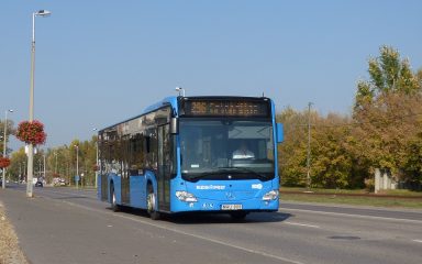 296-os busz