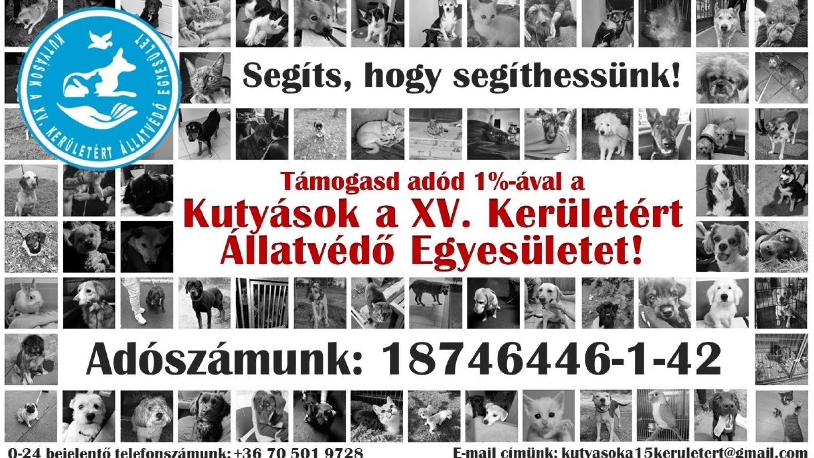 Kutyások a XV. Kerületért Állatvédő Egyesület